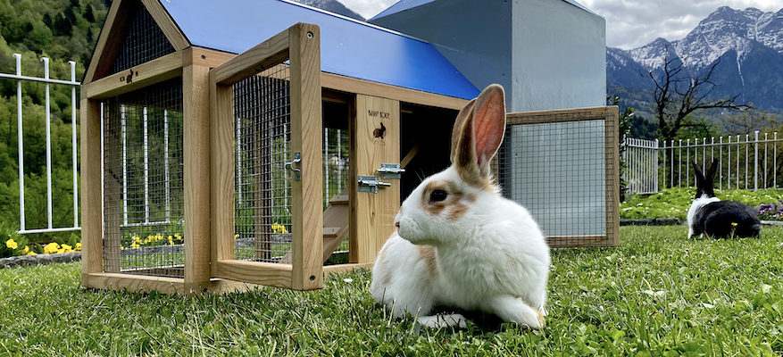 Bunny Chair